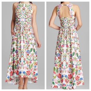 Cynthia Steffe Floral Hi-Lo Sidney Dress